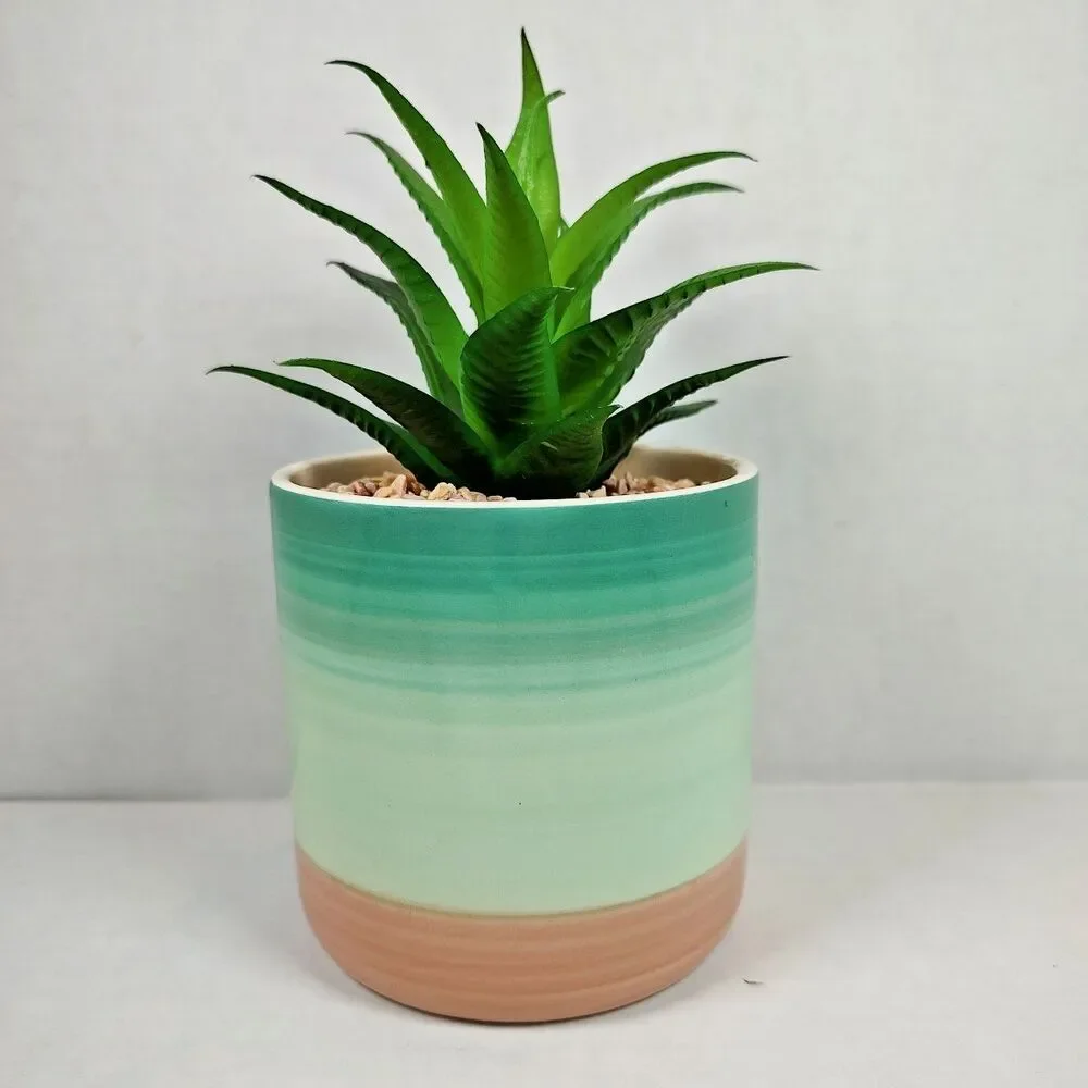 Artificial Succulent Potted Houseplant Teal Blue White Peach Tone Ceramic Rocks